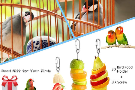 3Pcs Bird Food Holder, Bird Feeder Toy, Stainless Steel Small Animal Fruit Vegetable Stick Skewer, Foraging Hanging Food Feeding Treating Tool for Parrots Cockatoo Cockatiel Cage